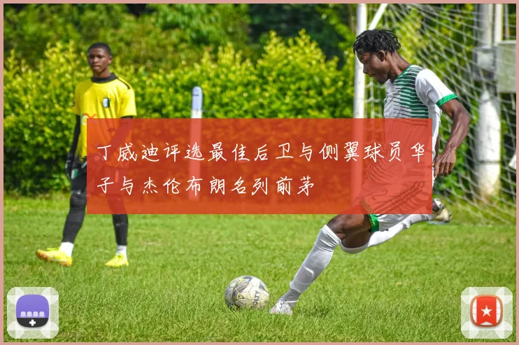 丁威迪评选最佳后卫与侧翼球员华子与杰伦布朗名列前茅