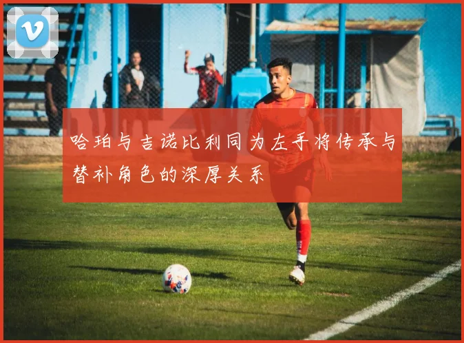 哈珀与吉诺比利同为左手将传承与替补角色的深厚关系